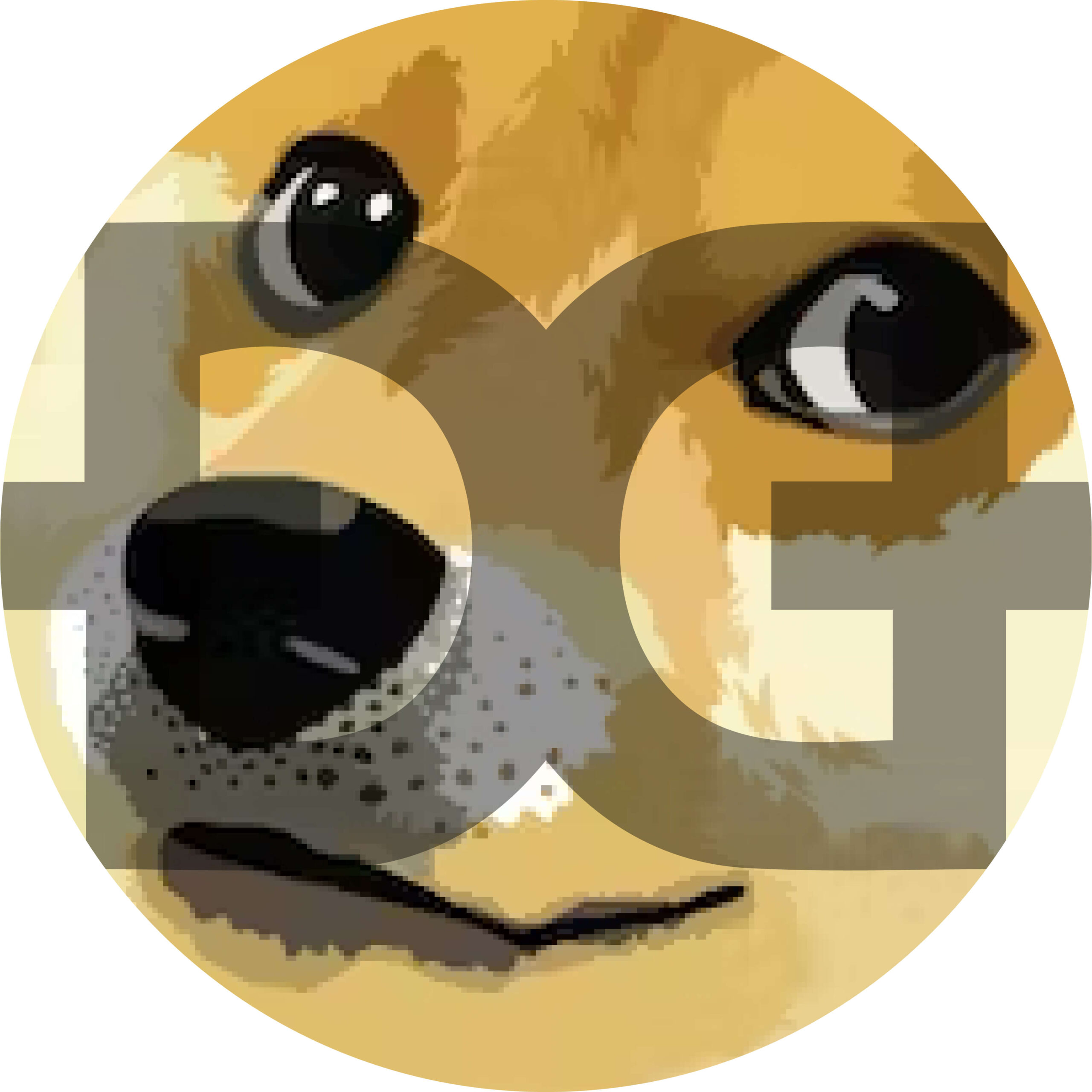 День doge. Dogeday.